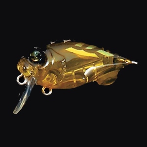 581_1.jpg?20080122163854