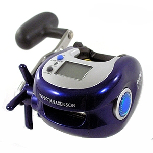 256_1.jpg?20050919095537