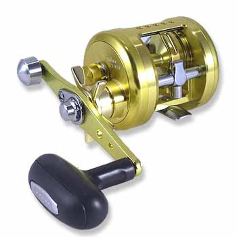 679_1_800.jpg?20050106130808