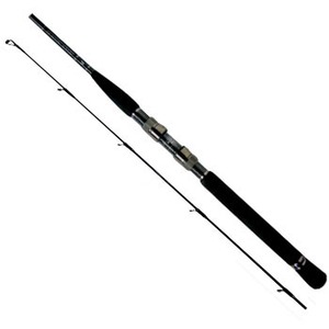 628_1.jpg?20100521120844