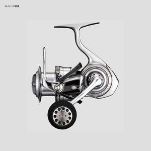 100_1.jpg?20170209102026