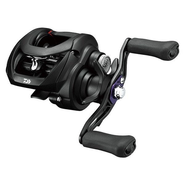 ダイワ(Daiwa) タトゥーラ TW 100XHL 左巻き 00630040｜アウトドア用品