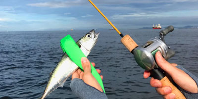 TURINGMONKEY(ツリモン) (レンジャーシリーズ) グレート鱒レンジャー