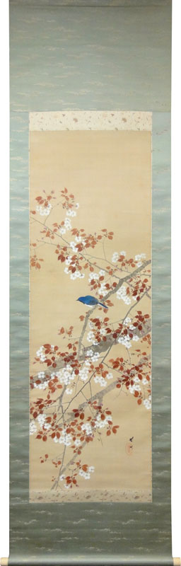 菊池芳文 桜花小禽/Web書画ミュージアム