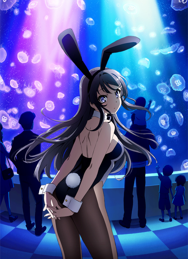 青春ブタ野郎はバニーガール先輩の夢を見ない - 名古屋テレビ【メ～テレ】