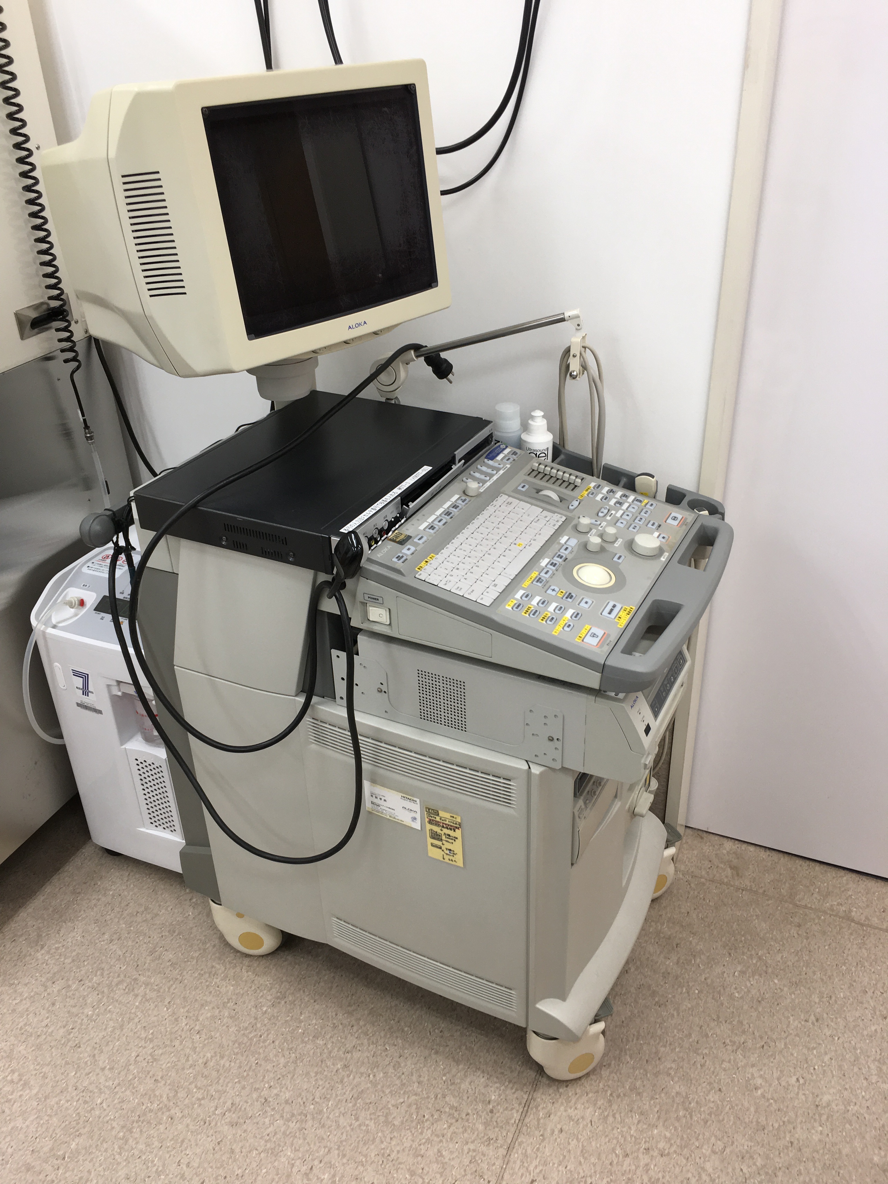 最新の超音波診断装置のデモ｜梨の木どうぶつ病院/昭島市の動物病院