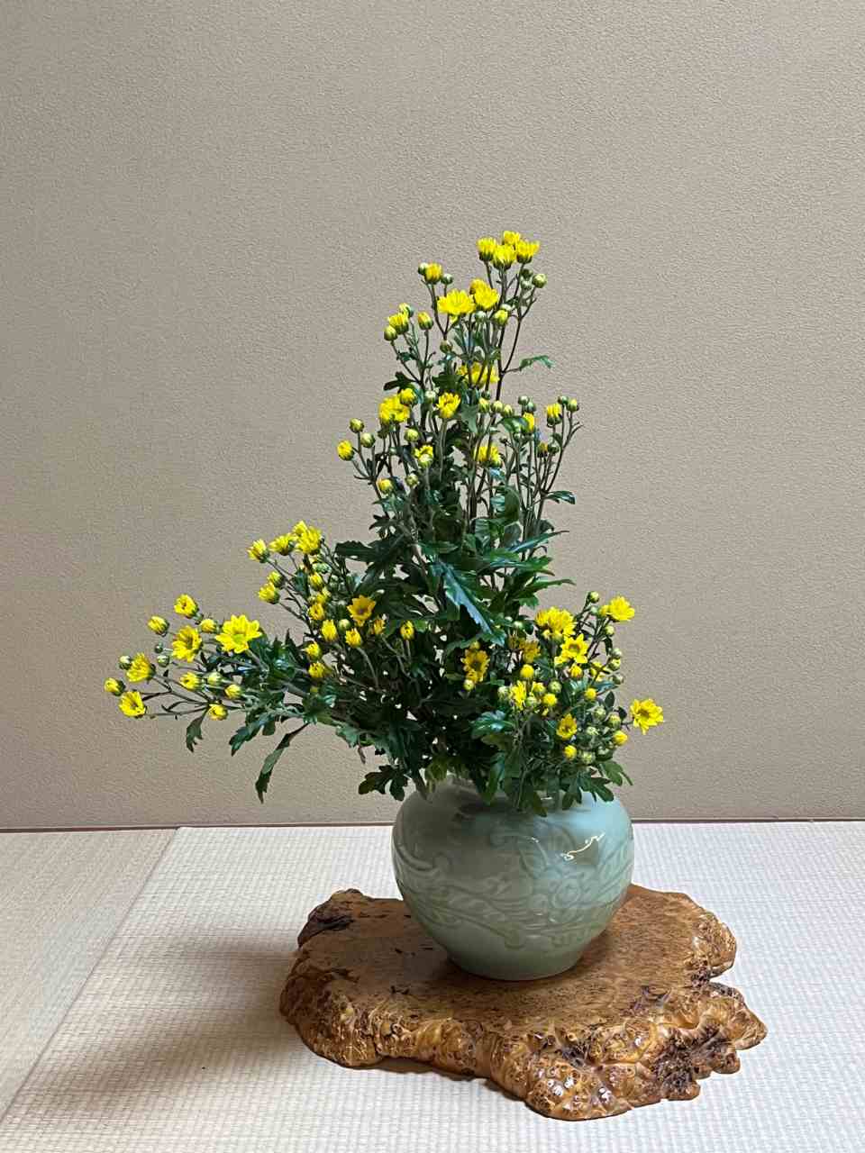 NHK文化センター｜好奇心の、その先へ NHKカルチャー