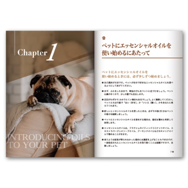 商品詳細ページ