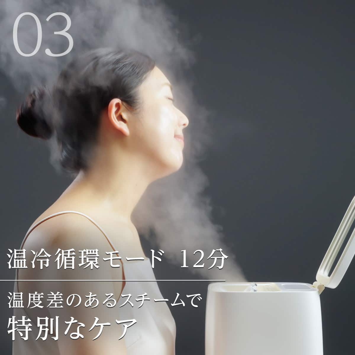 6分で潤いをサポートできる フェイススチーマー (NK251 モカ) | ニトリ