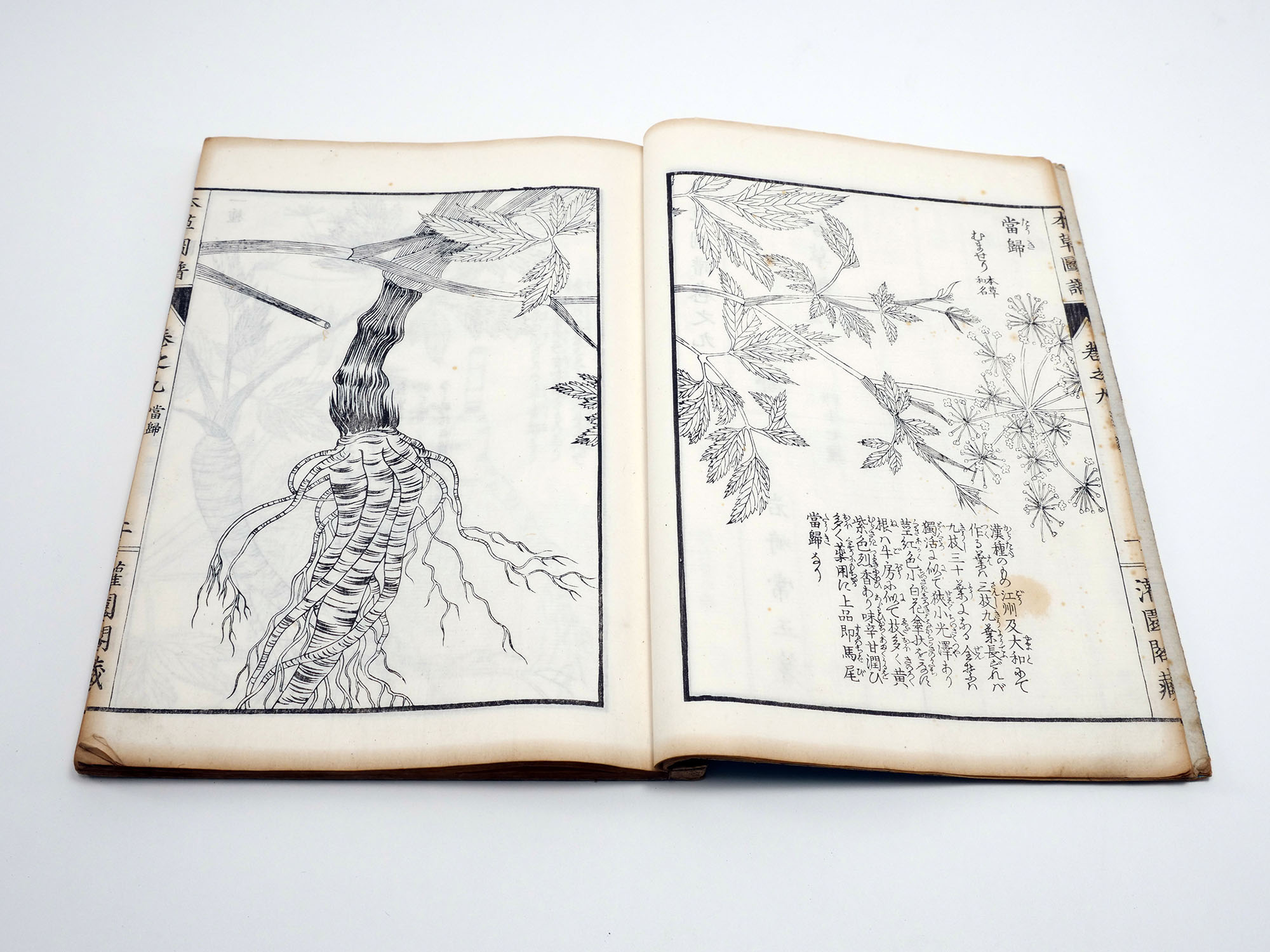 本草図譜」（ほんぞうずふ）岩崎灌園（1786-1842）全95冊