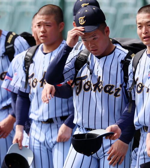 センバツ】東海大札幌が甲子園練習で新ユニホーム披露「ラベンダー