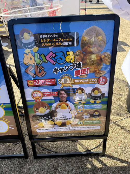 ソフトバンク】宮崎キャンプで話題沸騰「タカのぬいぐるみ」仕掛け人は