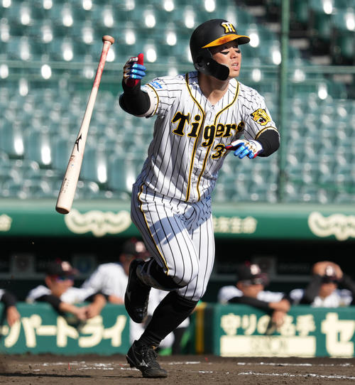 阪神糸原健斗「筋肉のバランスを意識して」自主トレは瞬発力テーマ