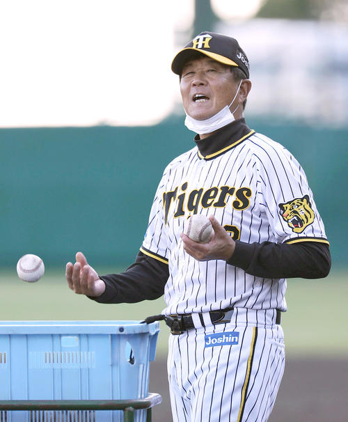 阪神】平田勝男HC「原口、梅野、陽川が30歳超えたらベテランなんて死語