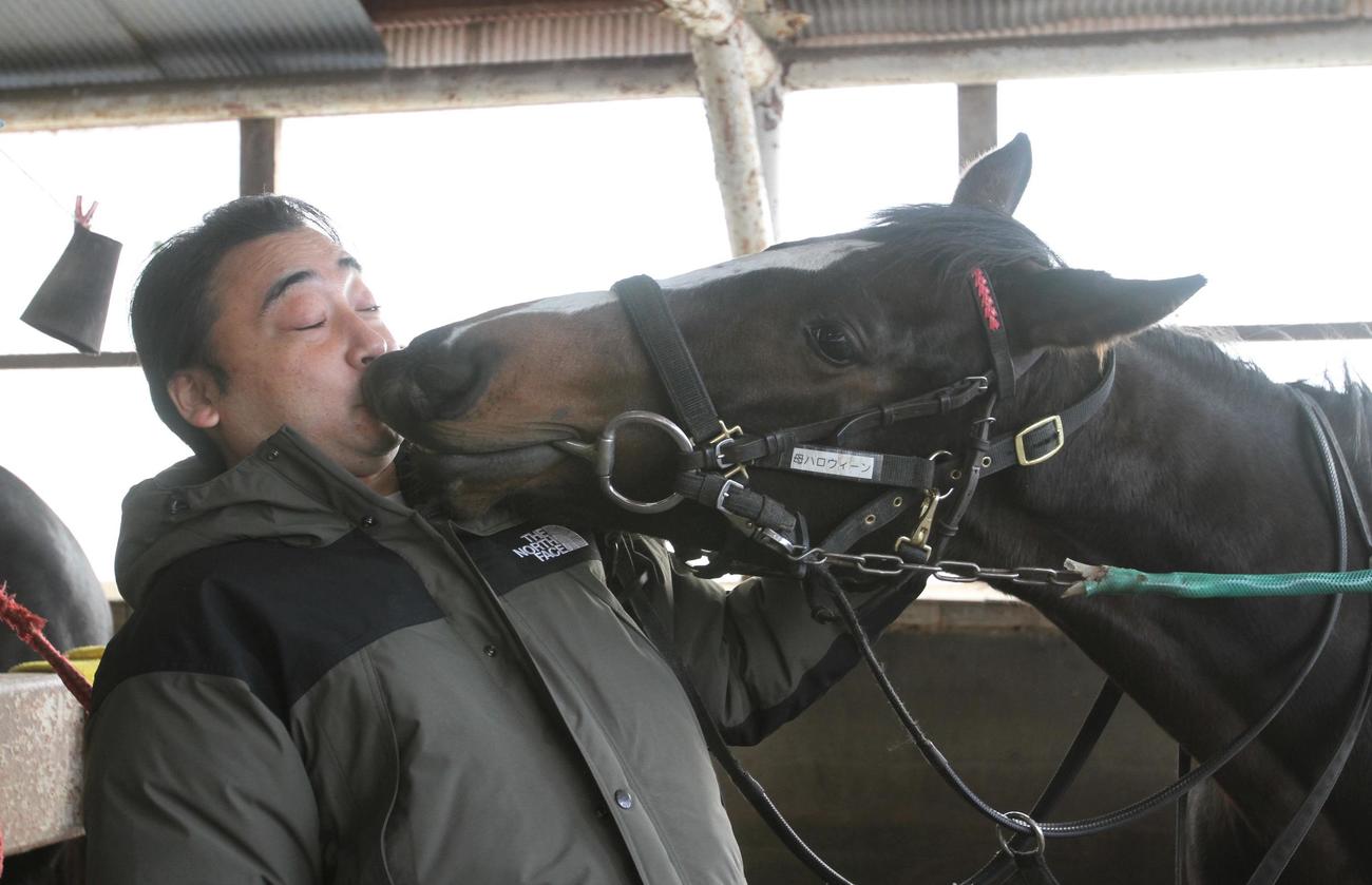 ジャンポケ斉藤慎二、持ち馬「オマタセシマシタ」今年3勝目報告