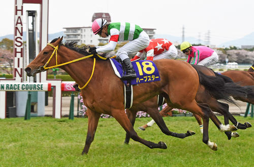 毎日ベスト3】ダイワスカーレットとウオッカで馬連270円！桜花賞