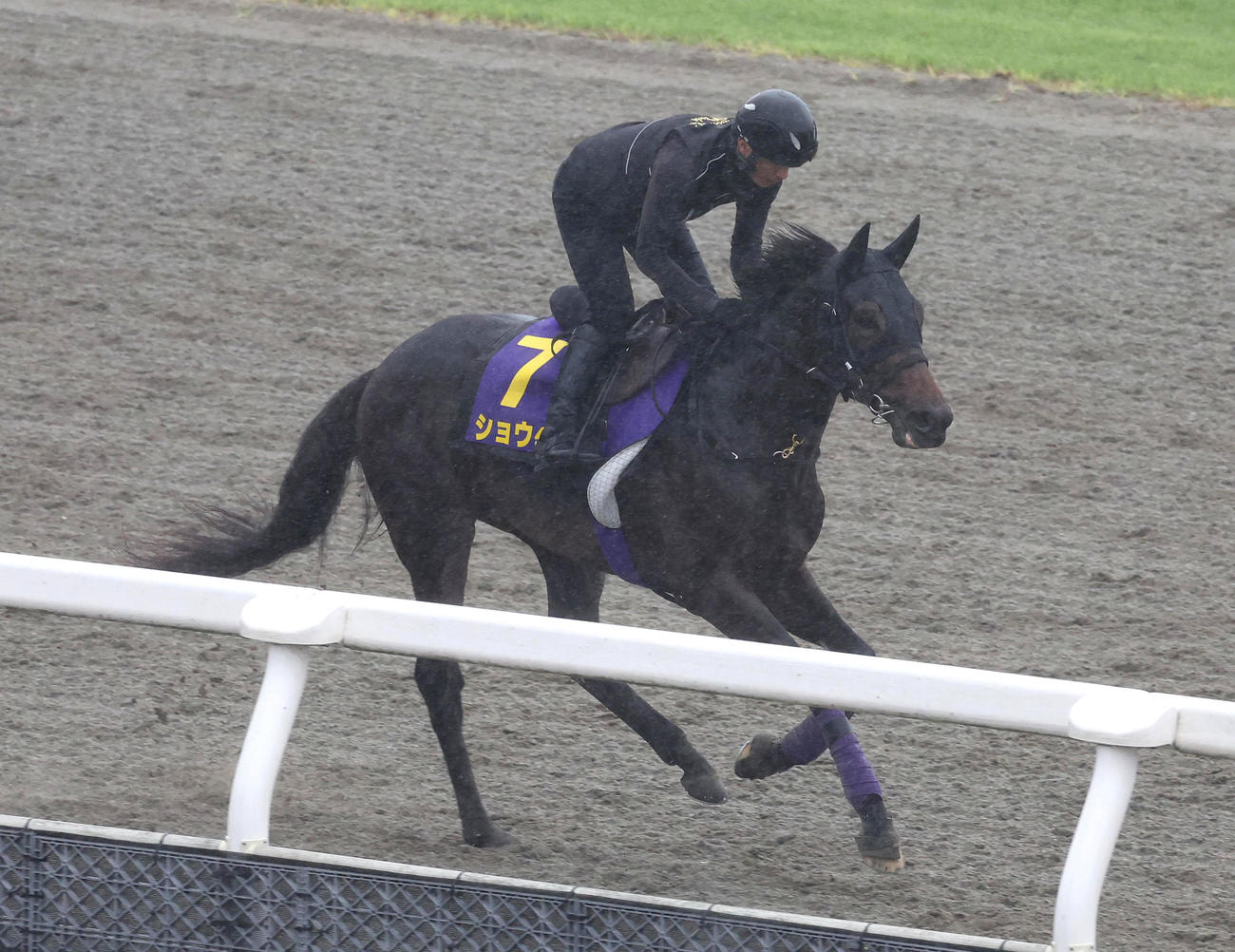 ダービー】2週連続の大舞台へ ショウヘイとカムニャック担当の花田