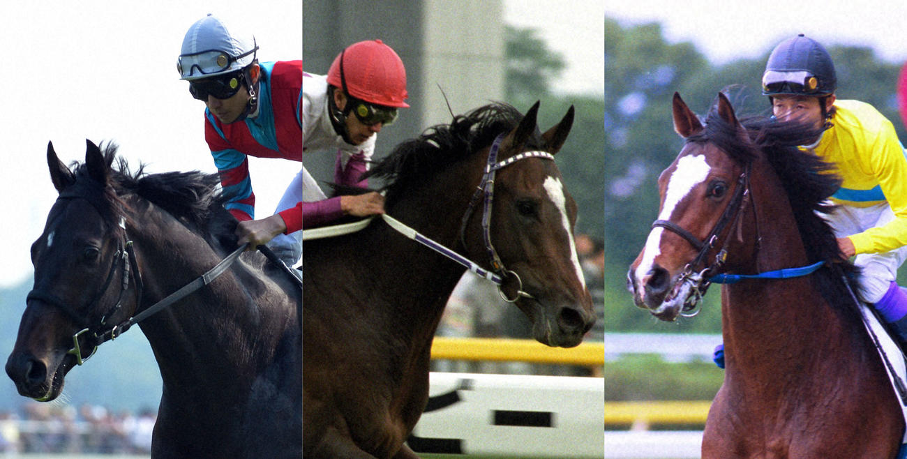 鼻セレブ」が2日連続「心よりお詫び申し上げます」投稿「華麗なる名馬