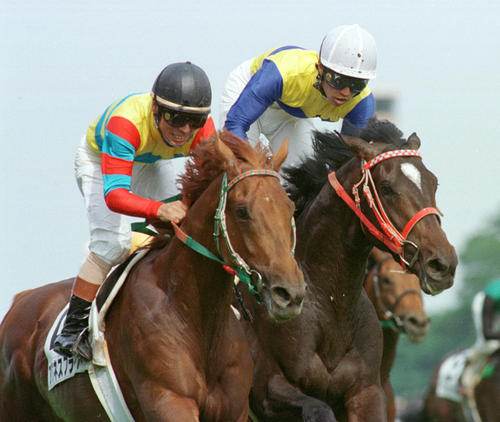 00年ダービー馬アグネスフライトが老衰のため死す、26歳 親子3代で