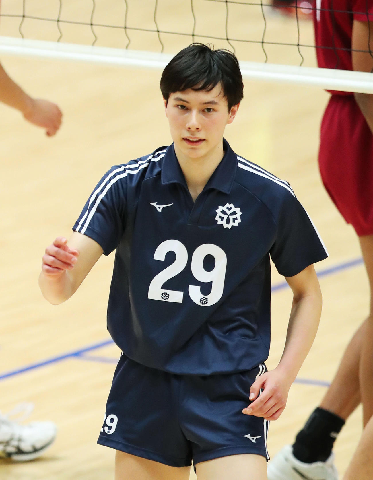 日体大・高橋藍がセリエA挑戦 18歳で日本代表初選出／略歴