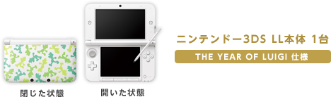 ニンテンドー3DS｜ルイージ30周年 パック｜任天堂