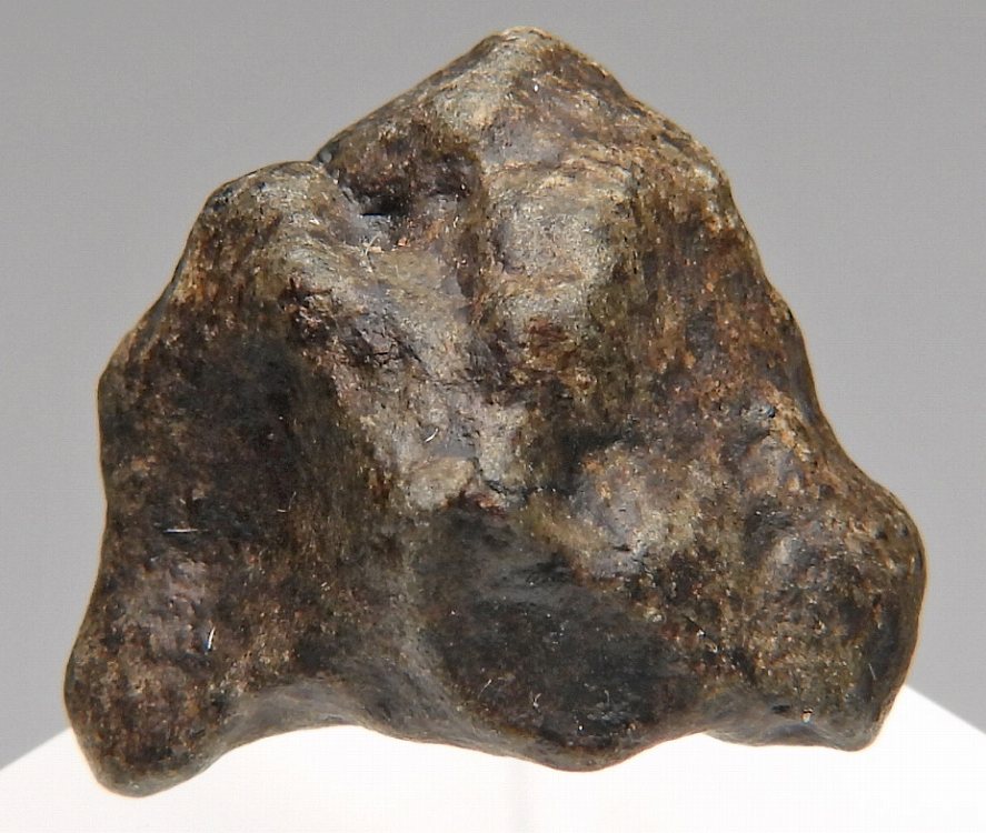 火星隕石 の商品一覧- 鉱物標本・隕石標本販売のWeb専門店 エヌズ