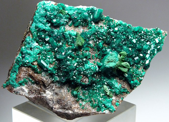 翠銅鉱 260(原産地) カザフスタン - 鉱物標本・隕石標本販売のWeb専門