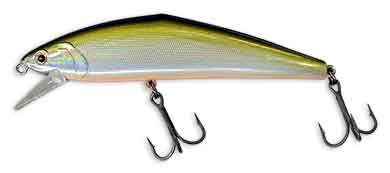 D-コンタクト110