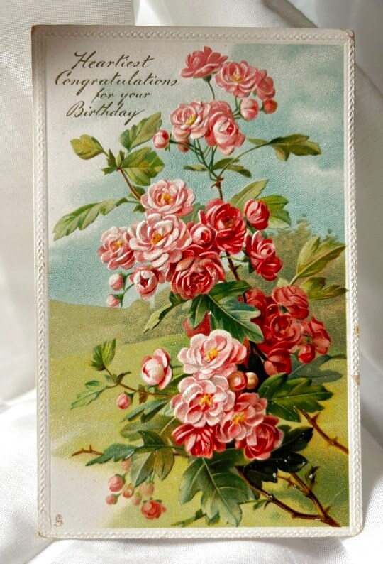 Snowdrop Postcards アンティークポストカード専門店