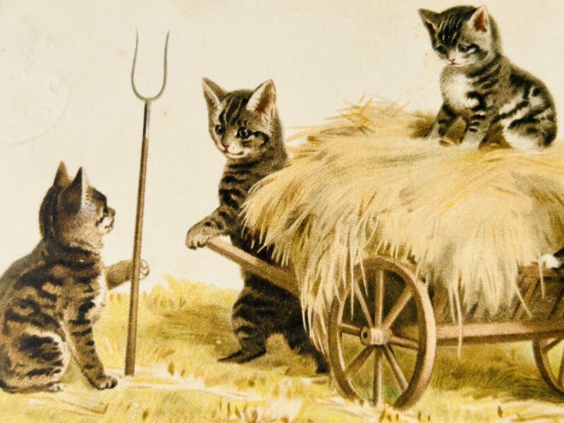 Snowdrop Postcards アンティークポストカード専門店