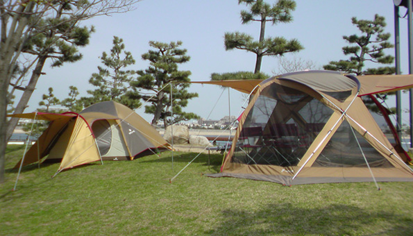 アメニティドームメッシュエッグスターターセットで季節に合わせた