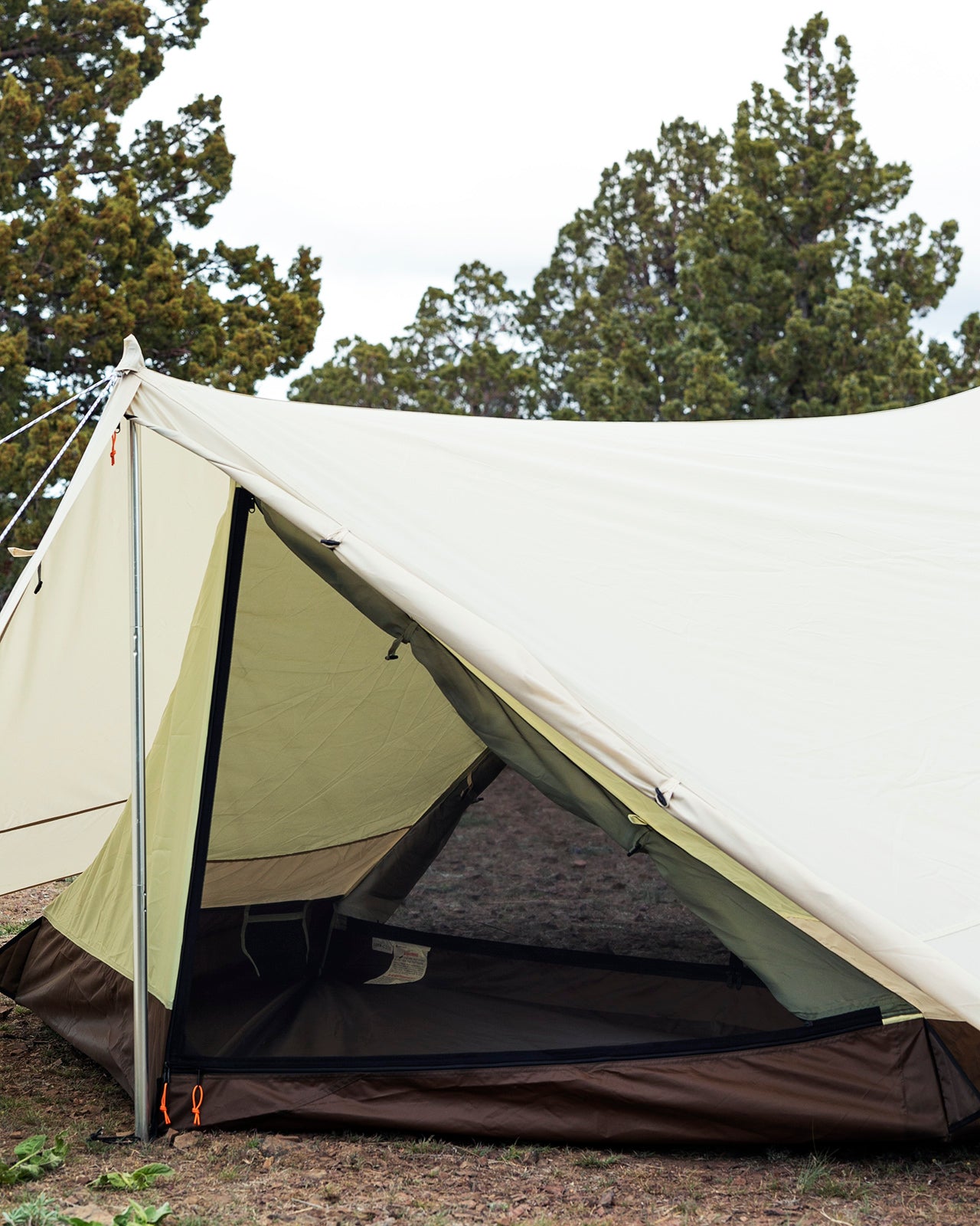 Hexa Ease 1 in Ivory | Snow Peak