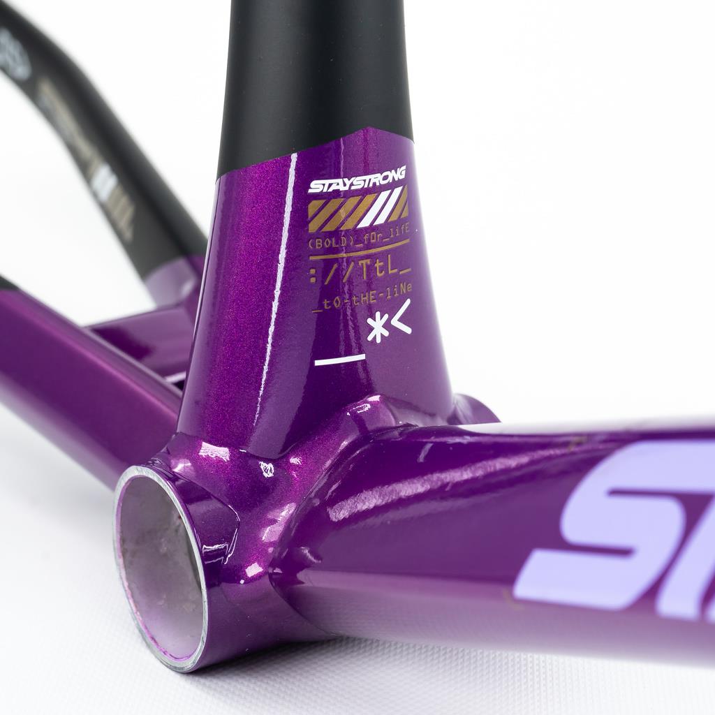 Stay Strong For Life V5 Cruiser XXL Frame 2025 – Source BMX