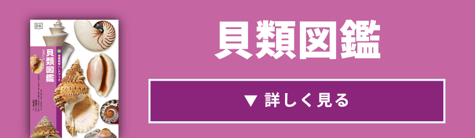 特設サイト］自然科学ハンドブック - 創元社
