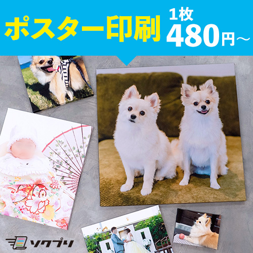 発泡パネル（スチレンボード） - 大判出力 ポスター印刷の【ソクプリ