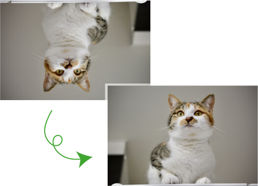 Viewla IPC-07FHD-T】オールインワン フルHD IPネットワークカメラ