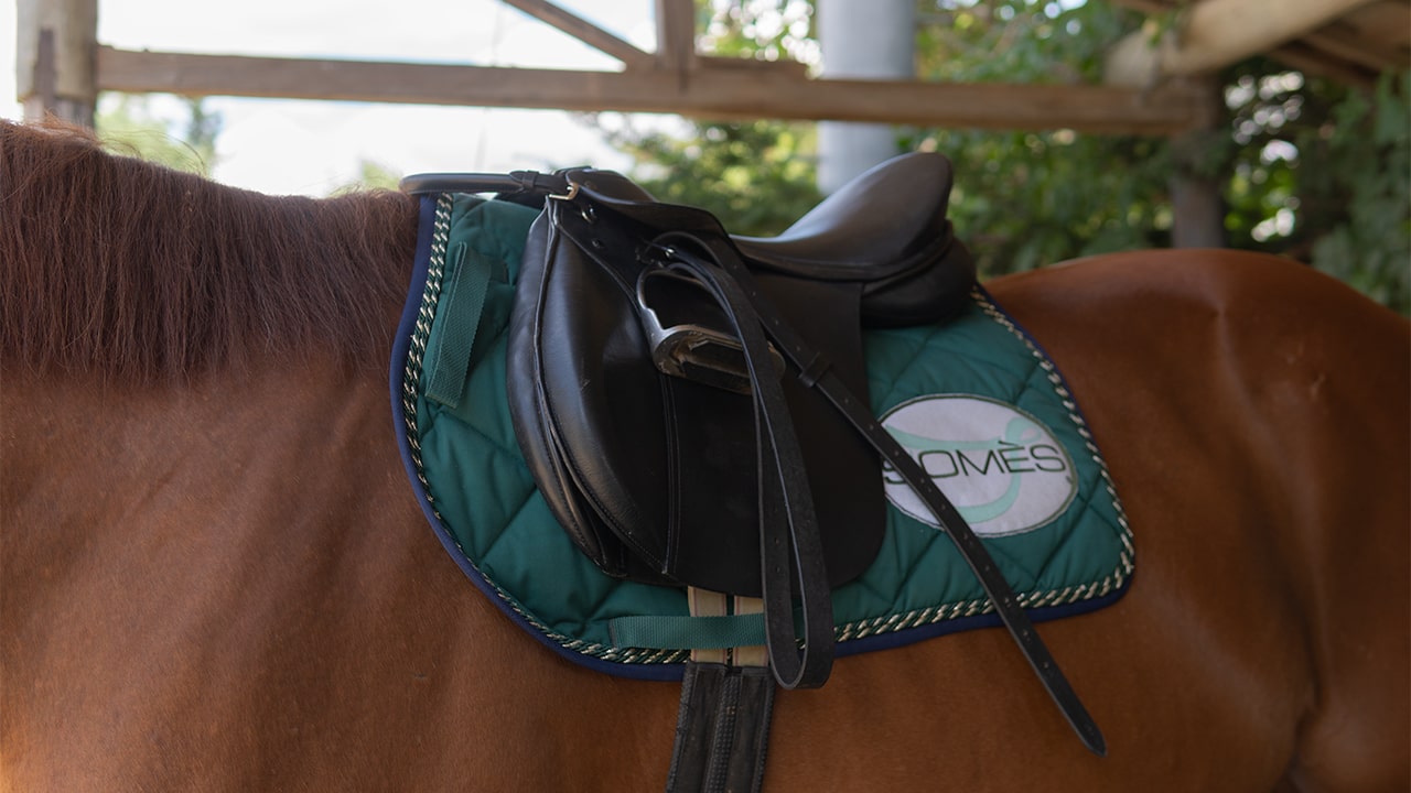 人馬一体のパフォーマンスを叶える乗馬鞍｜Reiz オールパーパスⅡ