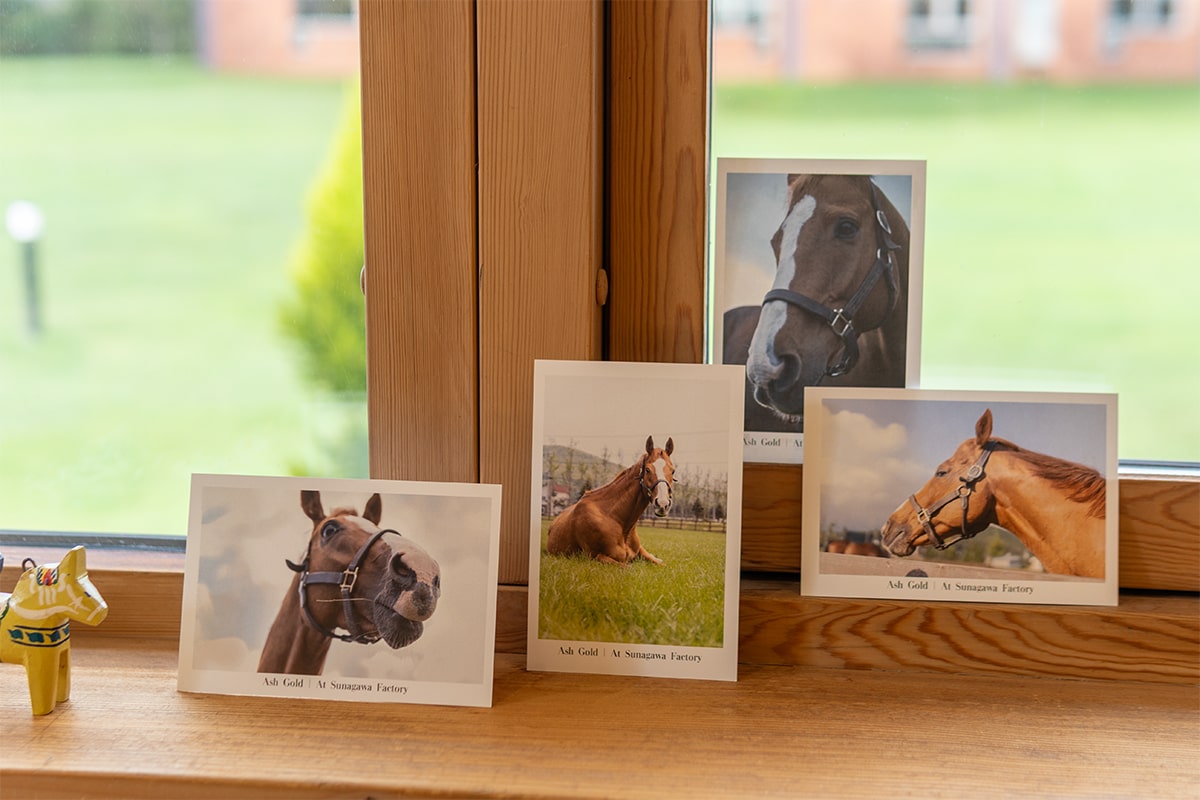 アッシュへの感謝を込めて｜砂川ショールーム限定イベント