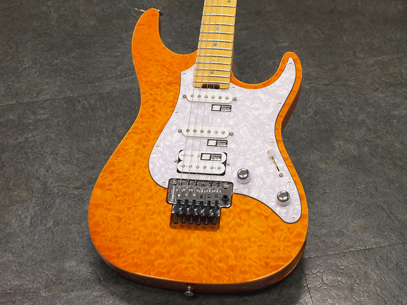 Edwards E-SN-145FR/M Amber 税込販売価格 ￥62,800- 中古品 Edwards E