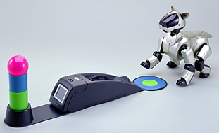 News and Information 