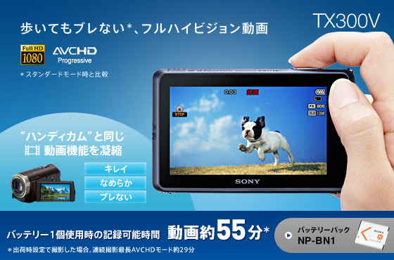 DSC-TX300V 特長 : フルハイビジョン動画撮影 | デジタルスチルカメラ