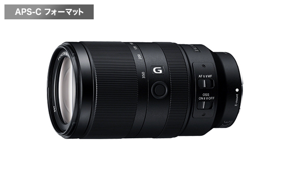 α6600におすすめのレンズ 3選 | デジタル一眼カメラα（アルファ） | ソニー
