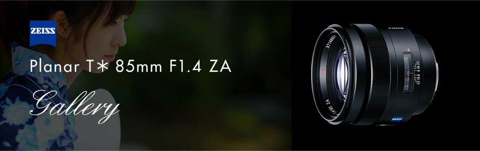 Planar T＊ 85mm F1.4 ZA 特長 | デジタル一眼カメラα（アルファ