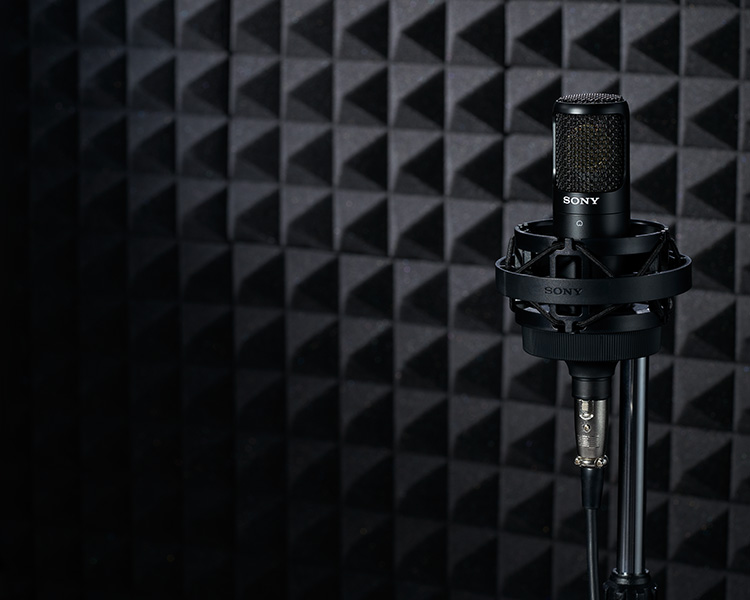 C-80コンセプトサイト | マイクロホン | ソニー