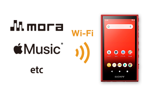 NW-A100シリーズ 特長 : かんたん転送 | ポータブルオーディオ