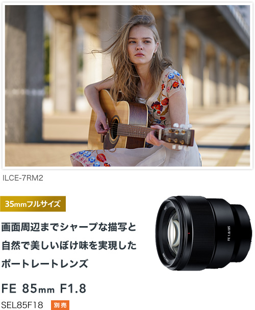 α6000 特長 : いつでもどこでも、大きくぼけて色鮮やか | デジタル一眼