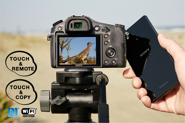 RX10II(DSC-RX10M2) 特長 : 豊富な撮影性能 | デジタルスチルカメラ