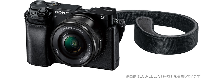 α6000 特長 : 狙って撮影できる、高精細ファインダー搭載 | デジタル