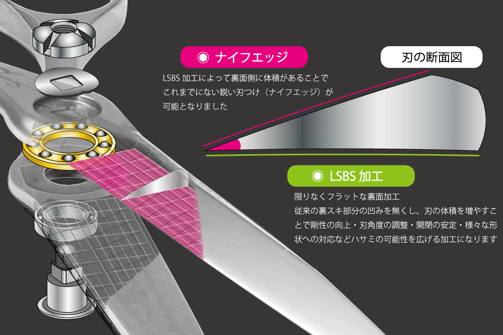 Qs WR 30% | シザーズジャパン