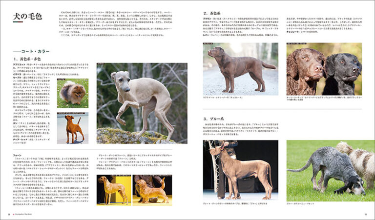 増補改訂 最新 世界の犬種大図鑑 | 株式会社誠文堂新光社